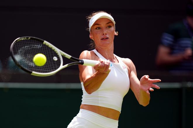 而非真正的 而非真正的